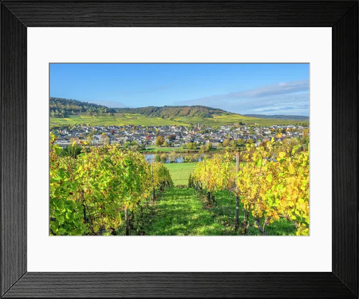 Framed Print : View at Leiwen, Mosel, Mosel valley, Rhineland-Palatinate, Germany Framed Print : View at Leiwen, Mosel, Mosel valley, Rhineland-Palatinate, Germany