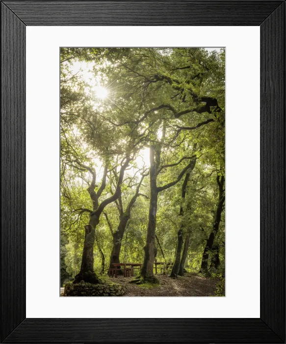 Framed Print : Europe, Italy, Umbria. the holy forest near to Spoleto in the area of Monteluco Framed Print : Europe, Italy, Umbria. the holy forest near to Spoleto in the area of Monteluco