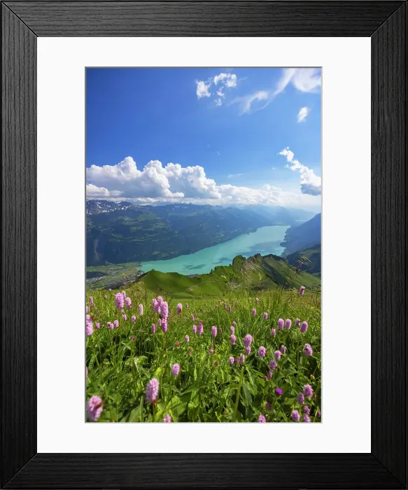 Framed Print : Lake Brienz from Brienzer Rothorn mountain, Brienz, Switzerland