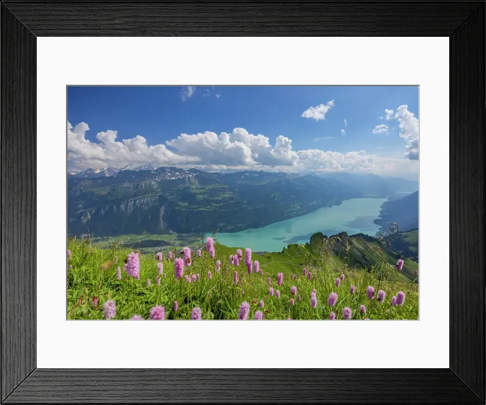 Framed Print : Lake Brienz from Brienzer Rothorn mountain, Brienz, Switzerland Framed Print : Lake Brienz from Brienzer Rothorn mountain, Brienz, Switzerland