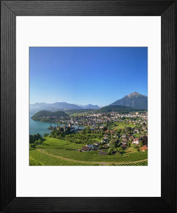 Framed Print : View of Spiez, Lake Thun and Niesen mountain, Spiez, Switzerland