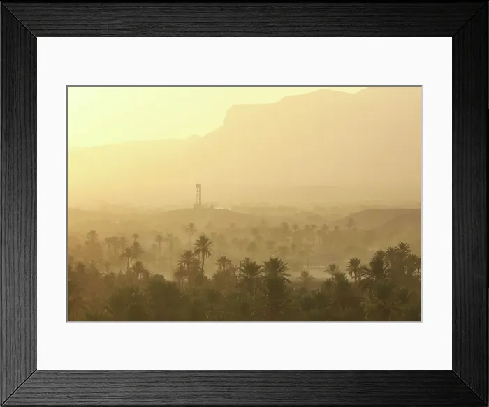 Framed Print : Palmeries at sunset, Nkob, Morocco
