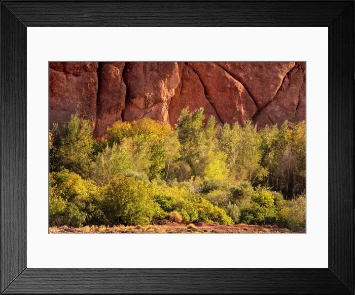 Framed Print : Rock formations and trees, Dades Gorge (Dades Valley), Morocco