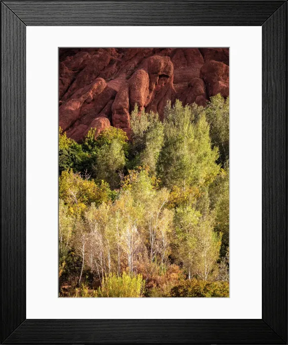 Framed Print : Rock formations and trees, Dades Gorge (Dades Valley), Morocco Framed Print : Rock formations and trees, Dades Gorge (Dades Valley), Morocco