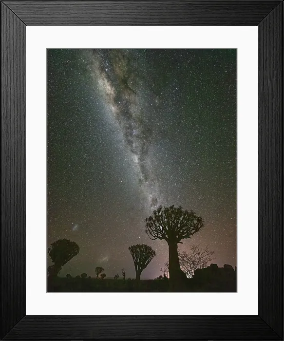 Framed Print : Quiver trees (Aloidendron dichotomum) and Milky Way, Quiver tree Forest, near Keetmanshoop, Namibia Framed Print : Quiver trees (Aloidendron dichotomum) and Milky Way, Quiver tree Forest, near Keetmanshoop, Namibia