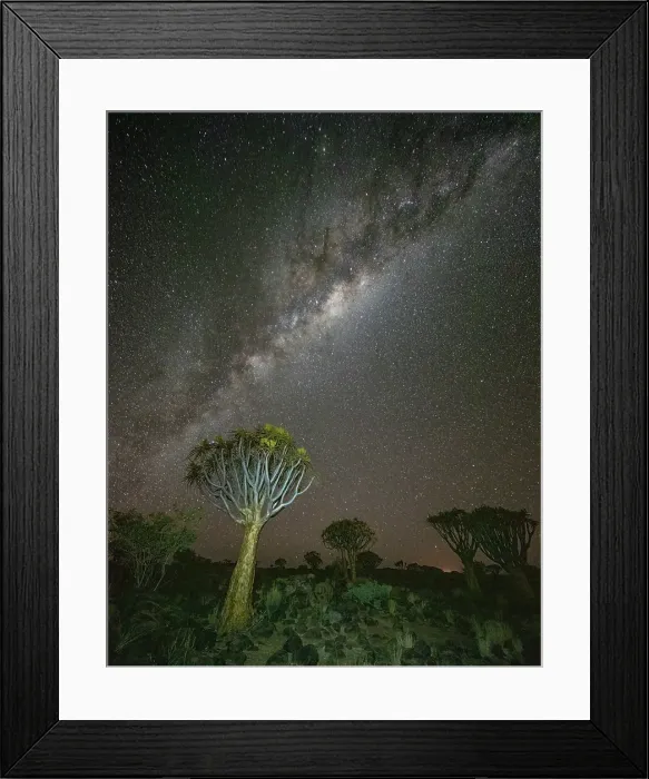 Framed Print : Quiver trees (Aloidendron dichotomum) and Milky Way, Quiver tree Forest, near Keetmanshoop, Namibia Framed Print : Quiver trees (Aloidendron dichotomum) and Milky Way, Quiver tree Forest, near Keetmanshoop, Namibia