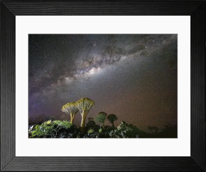 Framed Print : Quiver trees (Aloidendron dichotomum) and Milky Way, Quiver tree Forest, near Keetmanshoop, Namibia Framed Print : Quiver trees (Aloidendron dichotomum) and Milky Way, Quiver tree Forest, near Keetmanshoop, Namibia