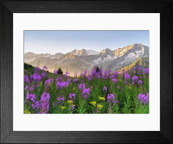 Framed Print : Presanella group in Ponte di Legno Tonale, Brescia province in Lombardy district, Italy