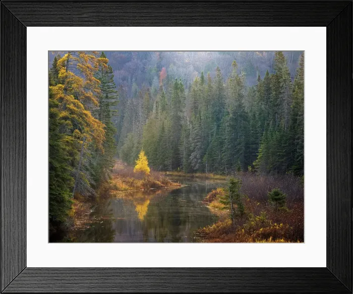 Framed Print : Small stream on a misty morning in Lake Superior Provincial Park, Ontario, Canada Framed Print : Small stream on a misty morning in Lake Superior Provincial Park, Ontario, Canada