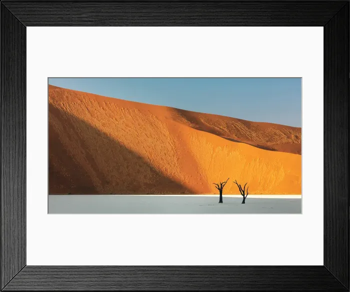 Framed Print : Dead camel thorn trees on a dried-up white mud pan & sand dunes, Dead Vlei, Namib-Naukluft National Park, Namib Desert, Namibia Framed Print : Dead camel thorn trees on a dried-up white mud pan & sand dunes, Dead Vlei, Namib-Naukluft National Park, Namib Desert, Namibia