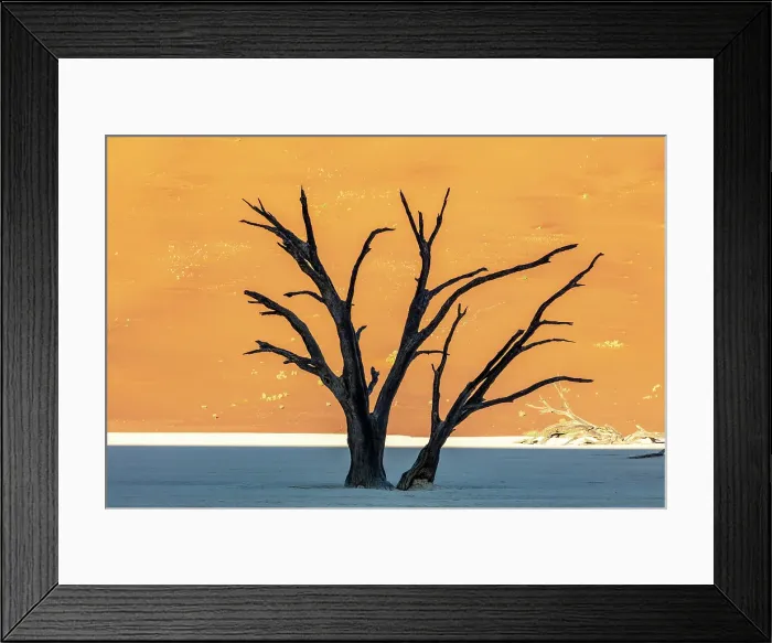 Framed Print : Dead camel thorn trees on a dried-up white mud pan & sand dunes, Dead Vlei, Namib-Naukluft National Park, Namib Desert, Namibia Framed Print : Dead camel thorn trees on a dried-up white mud pan & sand dunes, Dead Vlei, Namib-Naukluft National Park, Namib Desert, Namibia