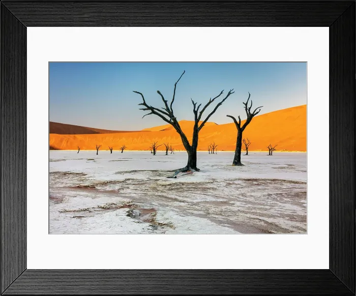 Framed Print : Dead camel thorn trees on a dried-up white mud pan & sand dunes, Dead Vlei, Namib-Naukluft National Park, Namib Desert, Namibia Framed Print : Dead camel thorn trees on a dried-up white mud pan & sand dunes, Dead Vlei, Namib-Naukluft National Park, Namib Desert, Namibia