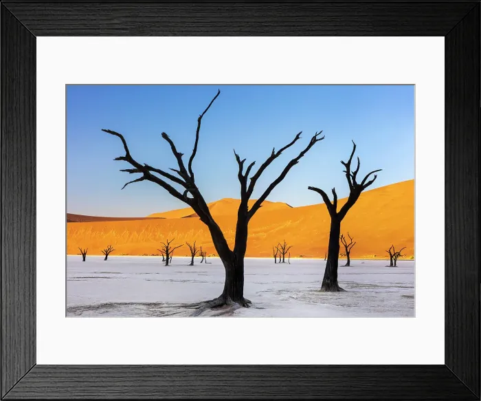 Framed Print : Dead camel thorn trees on a dried-up white mud pan & sand dunes, Dead Vlei, Namib-Naukluft National Park, Namib Desert, Namibia Framed Print : Dead camel thorn trees on a dried-up white mud pan & sand dunes, Dead Vlei, Namib-Naukluft National Park, Namib Desert, Namibia