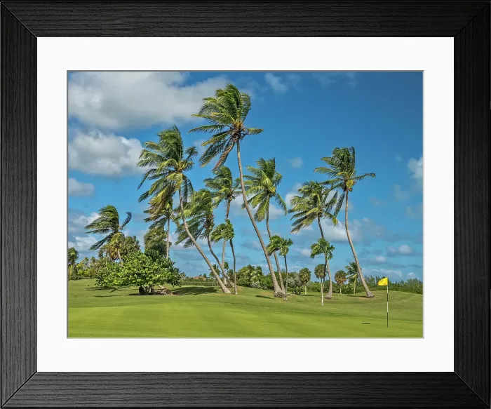 Framed Print : North Sound Golf Club on Grand Cayman, Cayman Islands, British West Indies Framed Print : North Sound Golf Club on Grand Cayman, Cayman Islands, British West Indies