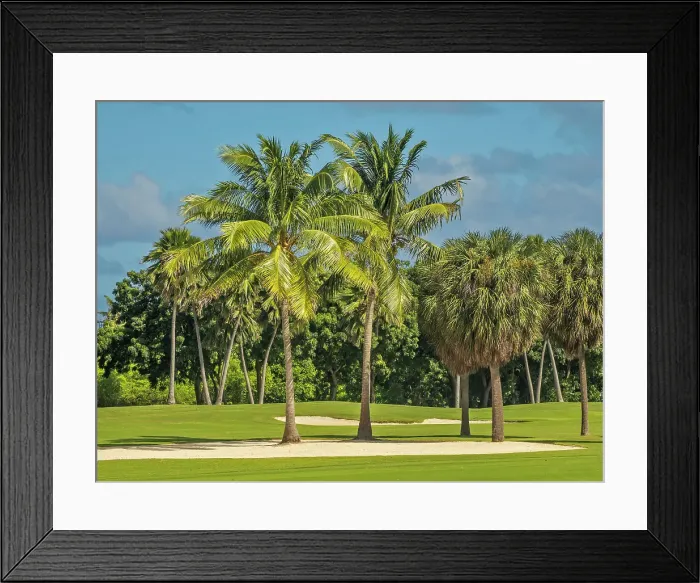 Framed Print : North Sound Golf Club on Grand Cayman, Cayman Islands, British West Indies Framed Print : North Sound Golf Club on Grand Cayman, Cayman Islands, British West Indies