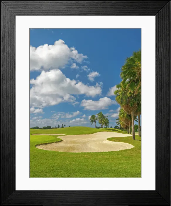 Framed Print : North Sound Golf Club on Grand Cayman, Cayman Islands, British West Indies Framed Print : North Sound Golf Club on Grand Cayman, Cayman Islands, British West Indies