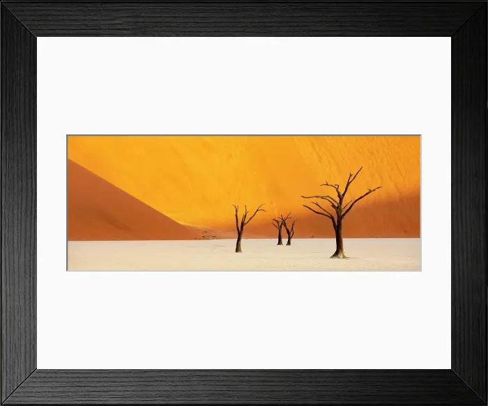 Framed Print : Dead camel thorn trees on a dried-up white mud pan & sand dunes, Dead Vlei, Namib-Naukluft National Park, Namib Desert, Namibia Framed Print : Dead camel thorn trees on a dried-up white mud pan & sand dunes, Dead Vlei, Namib-Naukluft National Park, Namib Desert, Namibia