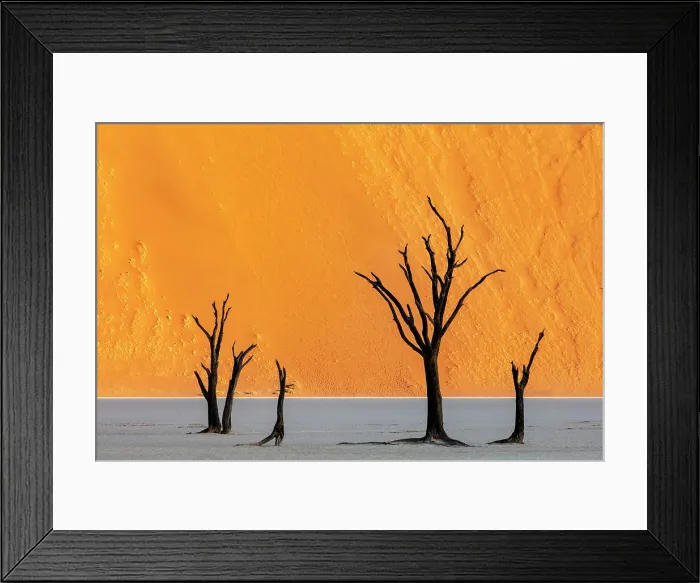 Framed Print : Dead camel thorn trees on a dried-up white mud pan & sand dunes, Dead Vlei, Namib-Naukluft National Park, Namib Desert, Namibia