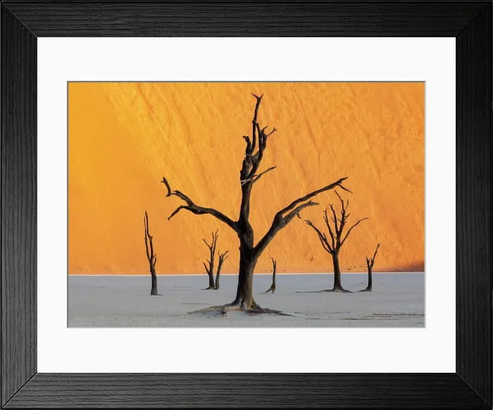 Framed Print : Dead camel thorn trees on a dried-up white mud pan & sand dunes, Dead Vlei, Namib-Naukluft National Park, Namib Desert, Namibia Framed Print : Dead camel thorn trees on a dried-up white mud pan & sand dunes, Dead Vlei, Namib-Naukluft National Park, Namib Desert, Namibia
