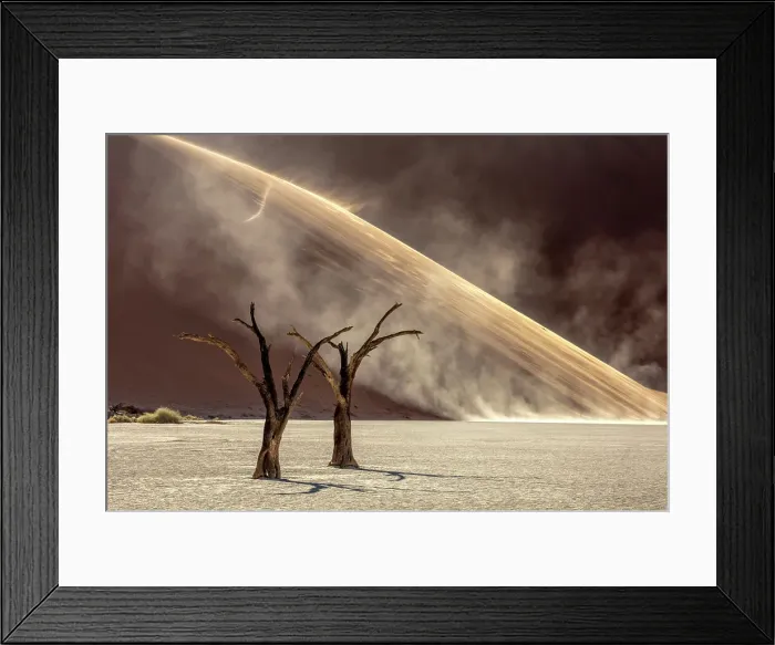 Framed Print : Dead camel thorn trees on a dried-up white mud pan with sand dunes, Dead Vlei, Namib-Naukluft National Park, Namib Desert, Namibia
