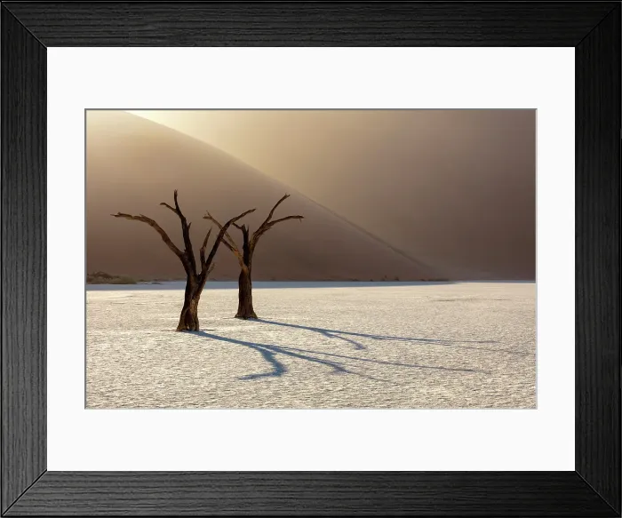 Framed Print : Dead camel thorn trees on a dried-up white mud pan & sand dunes, Dead Vlei, Namib-Naukluft National Park, Namib Desert, Namibia Framed Print : Dead camel thorn trees on a dried-up white mud pan & sand dunes, Dead Vlei, Namib-Naukluft National Park, Namib Desert, Namibia