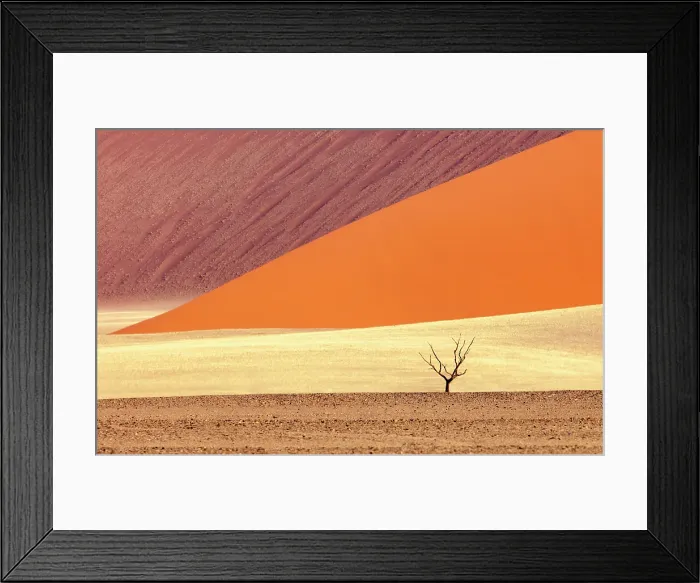 Framed Print : Orange sand dunes and lone tree, Sossusvlei, Namib-Naukluft National Park, Namib Desert, Namibia Framed Print : Orange sand dunes and lone tree, Sossusvlei, Namib-Naukluft National Park, Namib Desert, Namibia