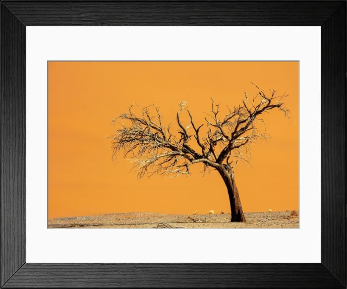 Framed Print : Dead camel thorn tree and orange sand dune, Sossusvlei, Namib-Naukluft National Park, Namib Desert, Namibia