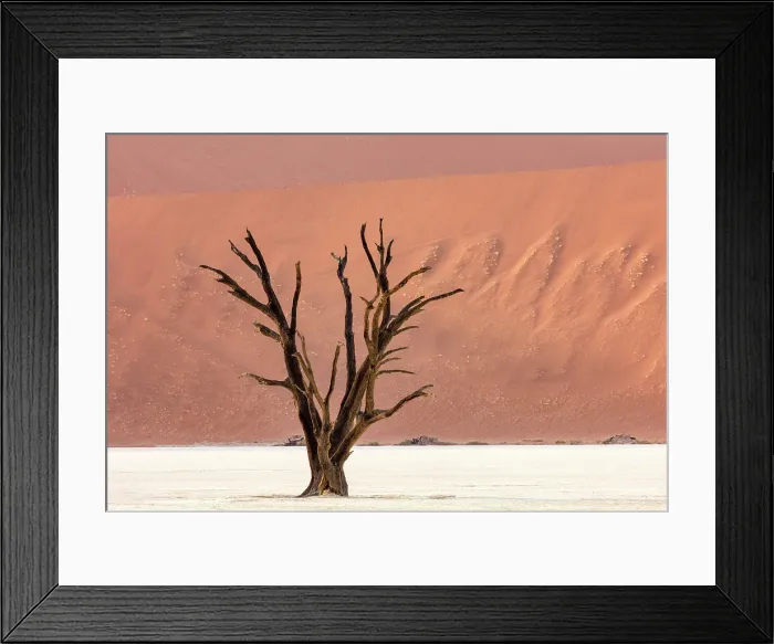 Framed Print : Dead camel thorn trees on a dried-up white mud pan & sand dunes, Dead Vlei, Namib-Naukluft National Park, Namibia Framed Print : Dead camel thorn trees on a dried-up white mud pan & sand dunes, Dead Vlei, Namib-Naukluft National Park, Namibia