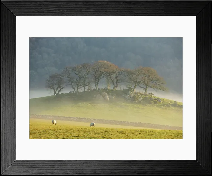 Framed Print : Misty morning over Hartland Hill Rocks in Dartmoor National Park, Devon, England. Winter (January) 2025 Framed Print : Misty morning over Hartland Hill Rocks in Dartmoor National Park, Devon, England. Winter (January) 2025