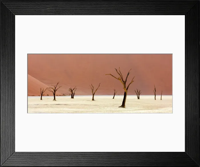 Framed Print : Dead camel thorn trees on a dried-up white mud pan & sand dunes, Dead Vlei, Namib-Naukluft National Park, Namibia Framed Print : Dead camel thorn trees on a dried-up white mud pan & sand dunes, Dead Vlei, Namib-Naukluft National Park, Namibia