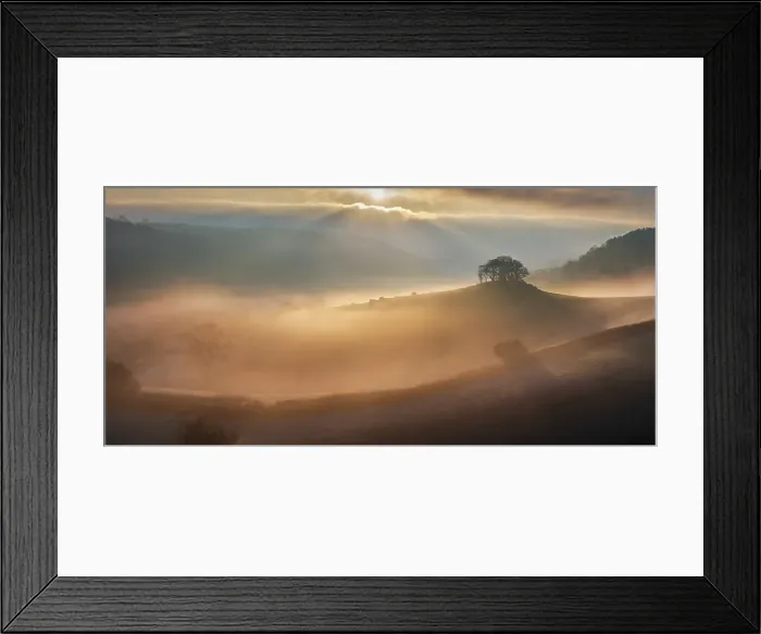 Framed Print : Mist shrouded countryside at dawn, Dartmoor National Park, Devon, England. Winter (January) 2025 Framed Print : Mist shrouded countryside at dawn, Dartmoor National Park, Devon, England. Winter (January) 2025
