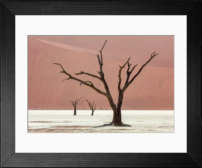 Framed Print : Dead camel thorn trees on a dried-up white mud pan & sand dunes, Dead Vlei, Namid-Naukluft National Park, Namibia Framed Print : Dead camel thorn trees on a dried-up white mud pan & sand dunes, Dead Vlei, Namid-Naukluft National Park, Namibia