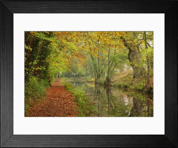 Framed Print : Autumnal scenery on the Monmouthshire & Brecon Canal, Brecon Beacons (Bannau Brycheiniog) National Park, Powys, Wales, UK. Autumn (November) 2024 Framed Print : Autumnal scenery on the Monmouthshire & Brecon Canal, Brecon Beacons (Bannau Brycheiniog) National Park, Powys, Wales, UK. Autumn (November) 2024