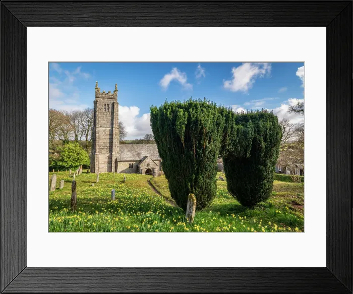 Framed Print : Yew tree archway in the Daffodil covered graveyard of St Mary the Virgin Church in Throwleigh, Dartmoor National Park, Devon, England