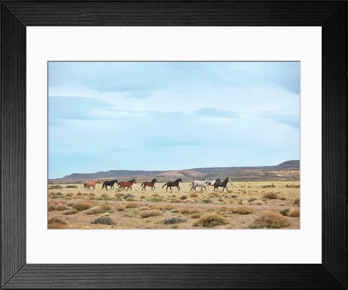 Framed Print : Wild horses in the Patagonian steppe, Bosques Petrificados de Jaramillo National Park, Santa Cruz, Deseado, Patagonia, Argentina