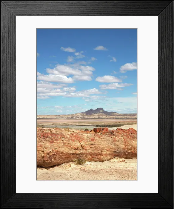 Framed Print : A petrified Araucaria tree (Araucaria araucana) in the Bosques Petrificados de Jaramillo National Park, with the Madre & Hija volcano in background, Santa Cruz, Deseado, Patagonia, Argentina