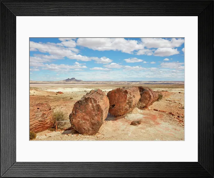 Framed Print : A petrified Araucaria tree (Araucaria araucana) in the Bosques Petrificados de Jaramillo National Park, with the Madre & Hija volcano in background, Santa Cruz, Deseado, Patagonia, Argentina Framed Print : A petrified Araucaria tree (Araucaria araucana) in the Bosques Petrificados de Jaramillo National Park, with the Madre & Hija volcano in background, Santa Cruz, Deseado, Patagonia, Argentina