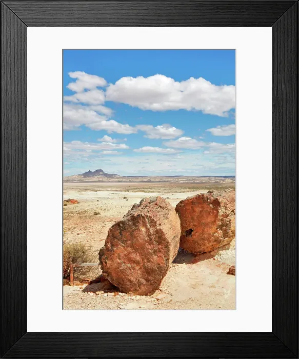 Framed Print : A petrified Araucaria tree (Araucaria araucana) in the Bosques Petrificados de Jaramillo National Park, with the Madre & Hija volcano in background, Santa Cruz, Deseado, Patagonia, Argentina Framed Print : A petrified Araucaria tree (Araucaria araucana) in the Bosques Petrificados de Jaramillo National Park, with the Madre & Hija volcano in background, Santa Cruz, Deseado, Patagonia, Argentina
