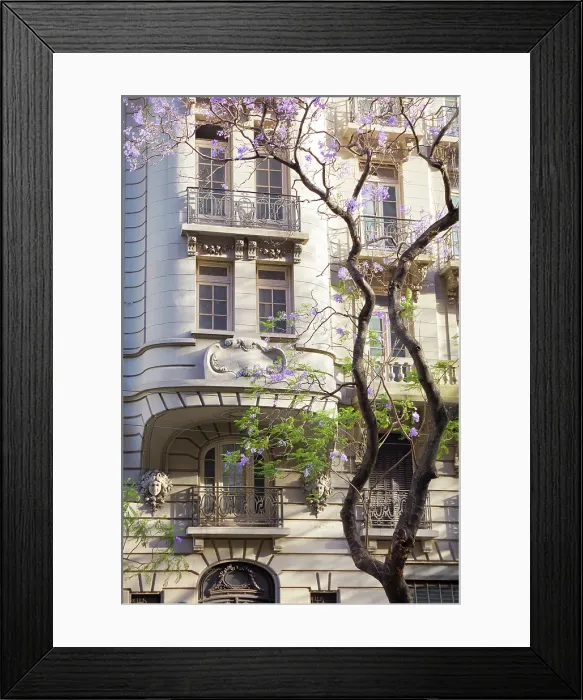 Framed Print : The facade of a colonial architecture building with a Jacaranda tree in springtime, Retiro, Buenos Aires, Argentina Framed Print : The facade of a colonial architecture building with a Jacaranda tree in springtime, Retiro, Buenos Aires, Argentina
