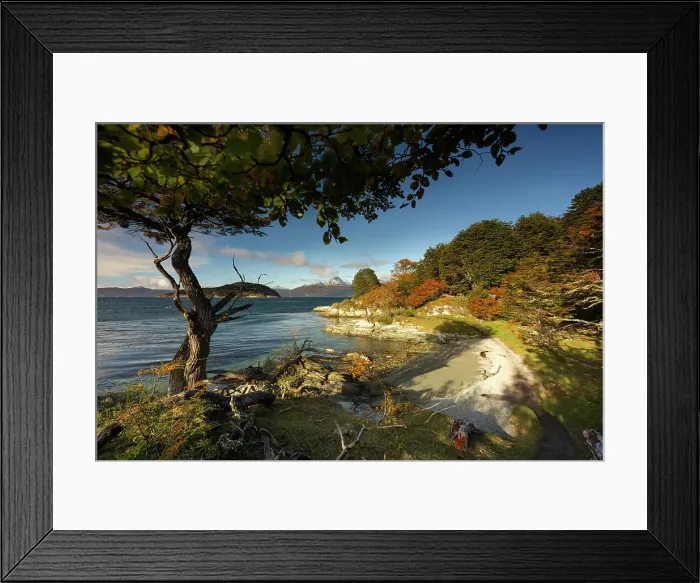 Framed Print : Coastline near Ushuaia in Tierra del Fuego, Argentina Framed Print : Coastline near Ushuaia in Tierra del Fuego, Argentina
