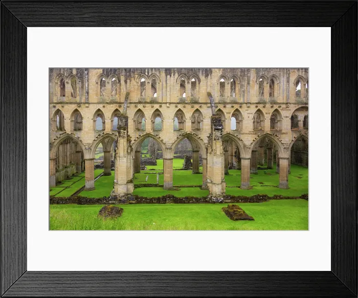 Framed Print : Ruins of Rievaulx Abbey, one of the first Cistercian abbeys to be founded in England in around 1130, North Yorkshire, England Framed Print : Ruins of Rievaulx Abbey, one of the first Cistercian abbeys to be founded in England in around 1130, North Yorkshire, England
