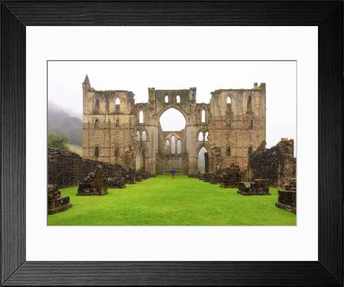 Framed Print : Ruins of Rievaulx Abbey, one of the first Cistercian abbeys to be founded in England in around 1130, North Yorkshire, England Framed Print : Ruins of Rievaulx Abbey, one of the first Cistercian abbeys to be founded in England in around 1130, North Yorkshire, England