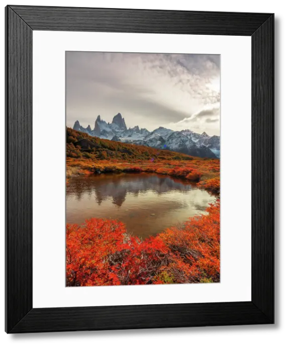 Framed Print : Fitzroy mountain near El Chalten reflecting in a pond in the Los Glacier National Park, Patagonia, Argentina Framed Print : Fitzroy mountain near El Chalten reflecting in a pond in the Los Glacier National Park, Patagonia, Argentina