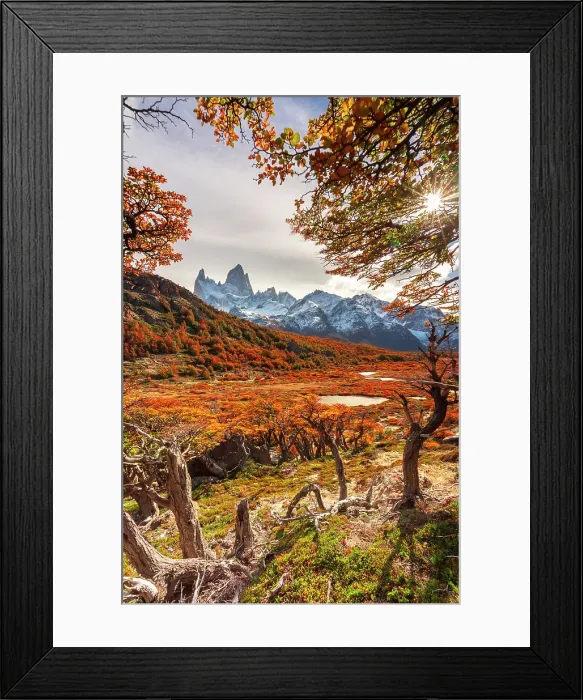 Framed Print : View of the Fitzroy mountain, Los Glaciares National Park, Patagonia, Argentina Framed Print : View of the Fitzroy mountain, Los Glaciares National Park, Patagonia, Argentina