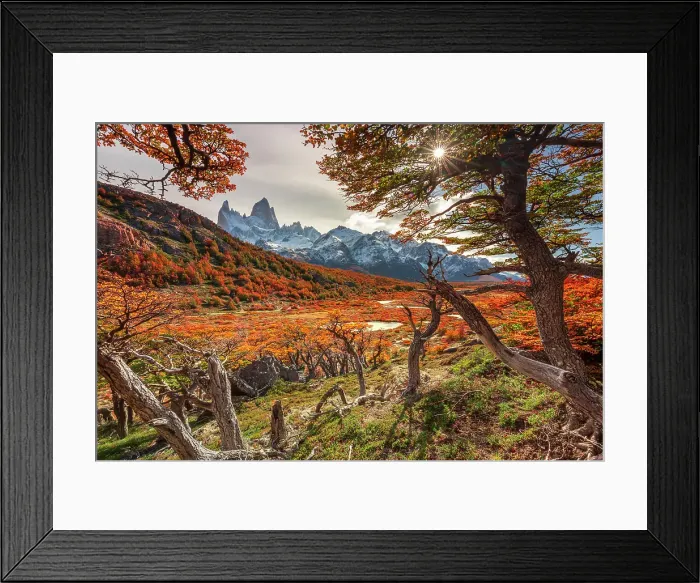 Framed Print : View of the Fitzroy mountain, Los Glaciares National Park, Patagonia, Argentina Framed Print : View of the Fitzroy mountain, Los Glaciares National Park, Patagonia, Argentina