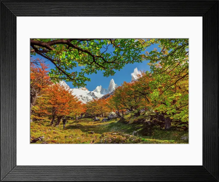 Framed Print : Los Glaciares National Park near El Chalten with Fitzroy peak in the background, Patagonia, Argentina Framed Print : Los Glaciares National Park near El Chalten with Fitzroy peak in the background, Patagonia, Argentina