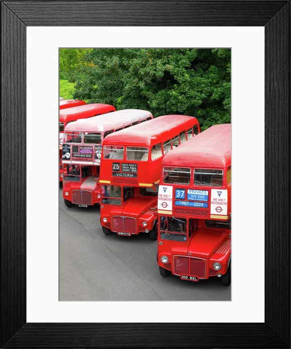 Framed Print : Routemaster buses parade at the 70th anniversary of the first Routemaster bus, RM1, London, England Framed Print : Routemaster buses parade at the 70th anniversary of the first Routemaster bus, RM1, London, England
