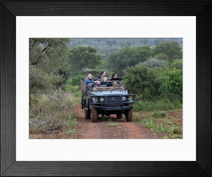 Framed Print : Guide taking tourists on a game drive, Zimanga Private Game Reserve, Natal, South Africa Framed Print : Guide taking tourists on a game drive, Zimanga Private Game Reserve, Natal, South Africa