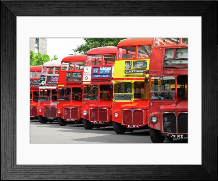 Framed Print : Routemaster buses parade at the 70th anniversary of the first Routemaster bus, RM1, London, England Framed Print : Routemaster buses parade at the 70th anniversary of the first Routemaster bus, RM1, London, England