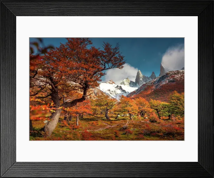 Framed Print : Los Glaciares National Park near El Chalten with Fitzroy peak in the background, Patagonia, Argentina Framed Print : Los Glaciares National Park near El Chalten with Fitzroy peak in the background, Patagonia, Argentina